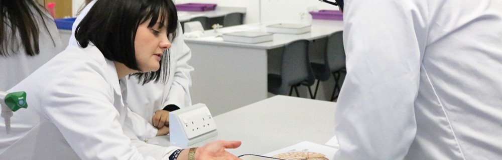 Social Sciences